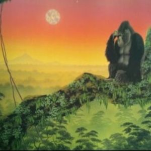 Meet your Posher, Nelson